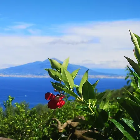 Couette-café Blu Vesuvius *