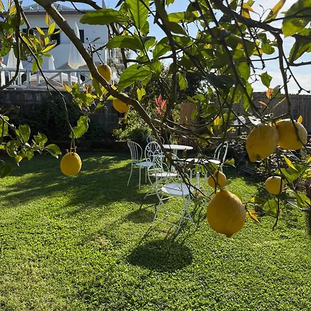 Nocleg ze śniadaniem Blu Vesuvius