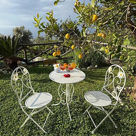 Nocleg ze śniadaniem Blu Vesuvius Półwysep Sorrentyński