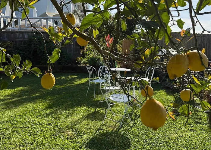 Oda ve Kahvaltı Blu Vesuvius