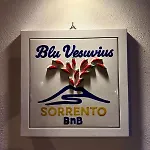 Holiday home Blu Vesuvius