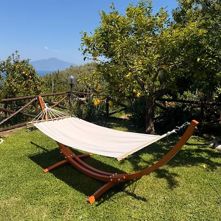 Blu Vesuvius Panzió 4*