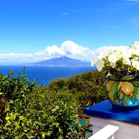 Blu Vesuvius *