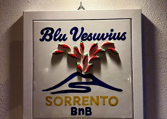 住宿加早餐酒店 Blu Vesuvius
