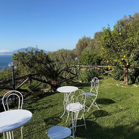 Blu Vesuvius Oda ve Kahvaltı Sorrento
