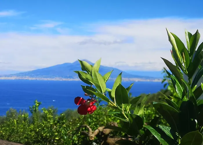 فندق مبيت وإفطار Blu Vesuvius 4*